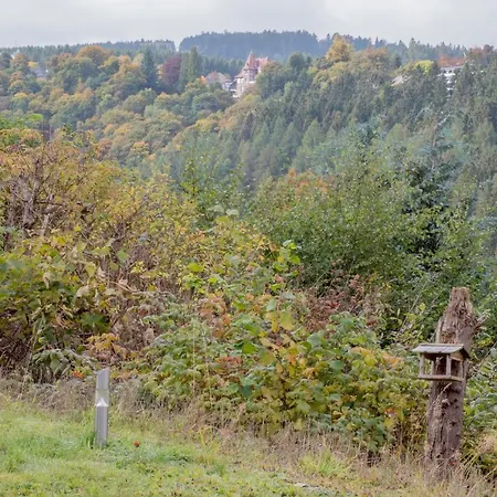 Daire Ferienapartment Landwohnung Theresa Winterberg